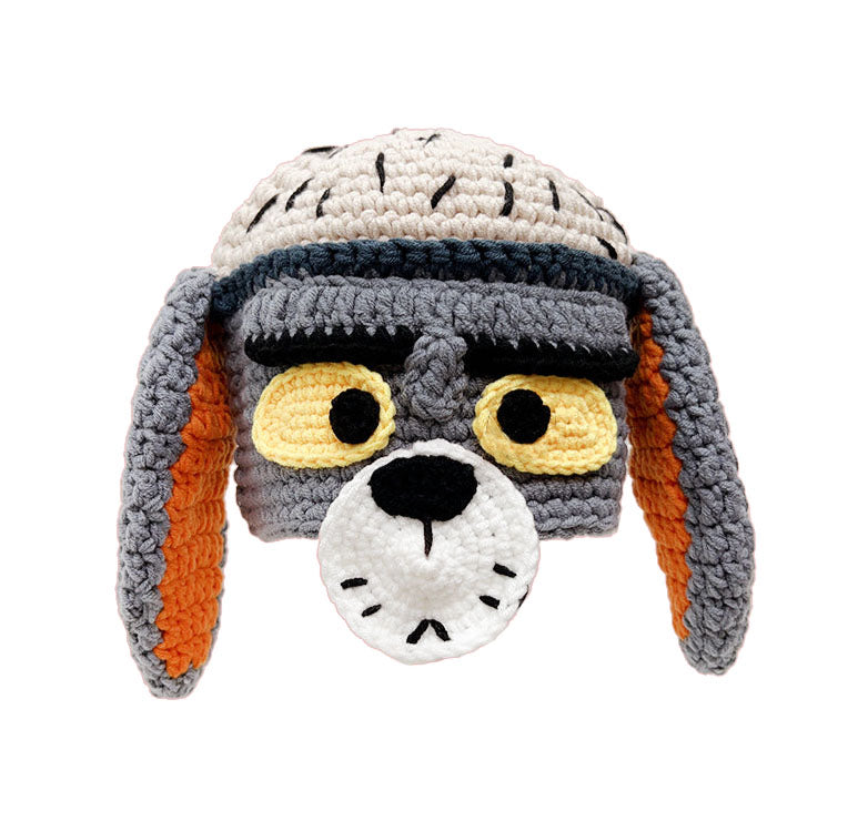 Beanie_tom cat